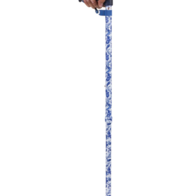 Single Cane